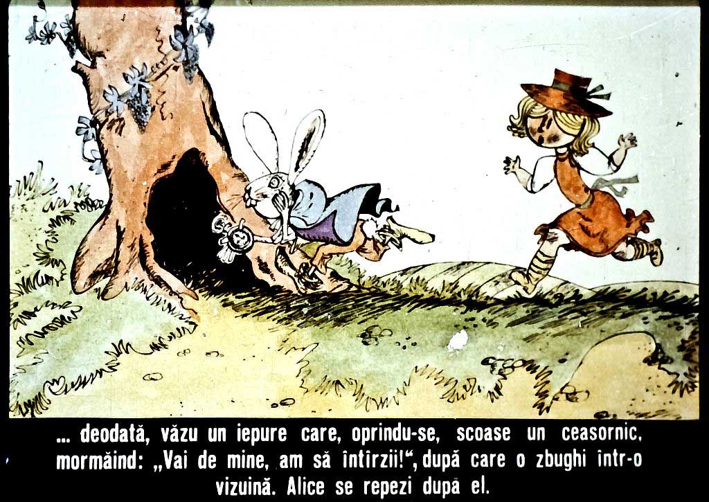 Ilustrație a unei scene cu un iepure și o fetiță, cu text care descrie acțiunea.