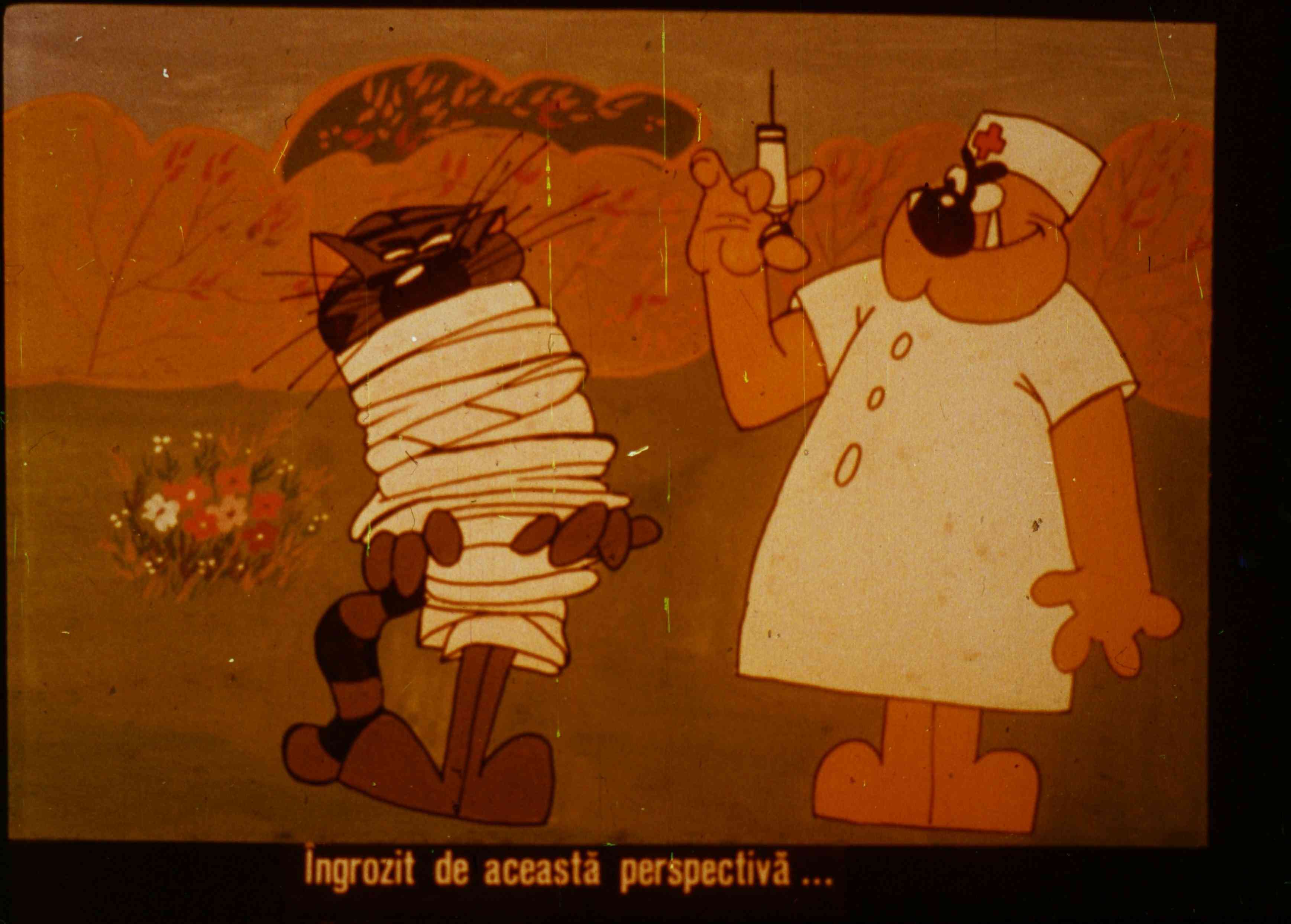 Un desen animat cu un motan bandajat și un medic care ține o seringa, într-un peisaj colorat.
