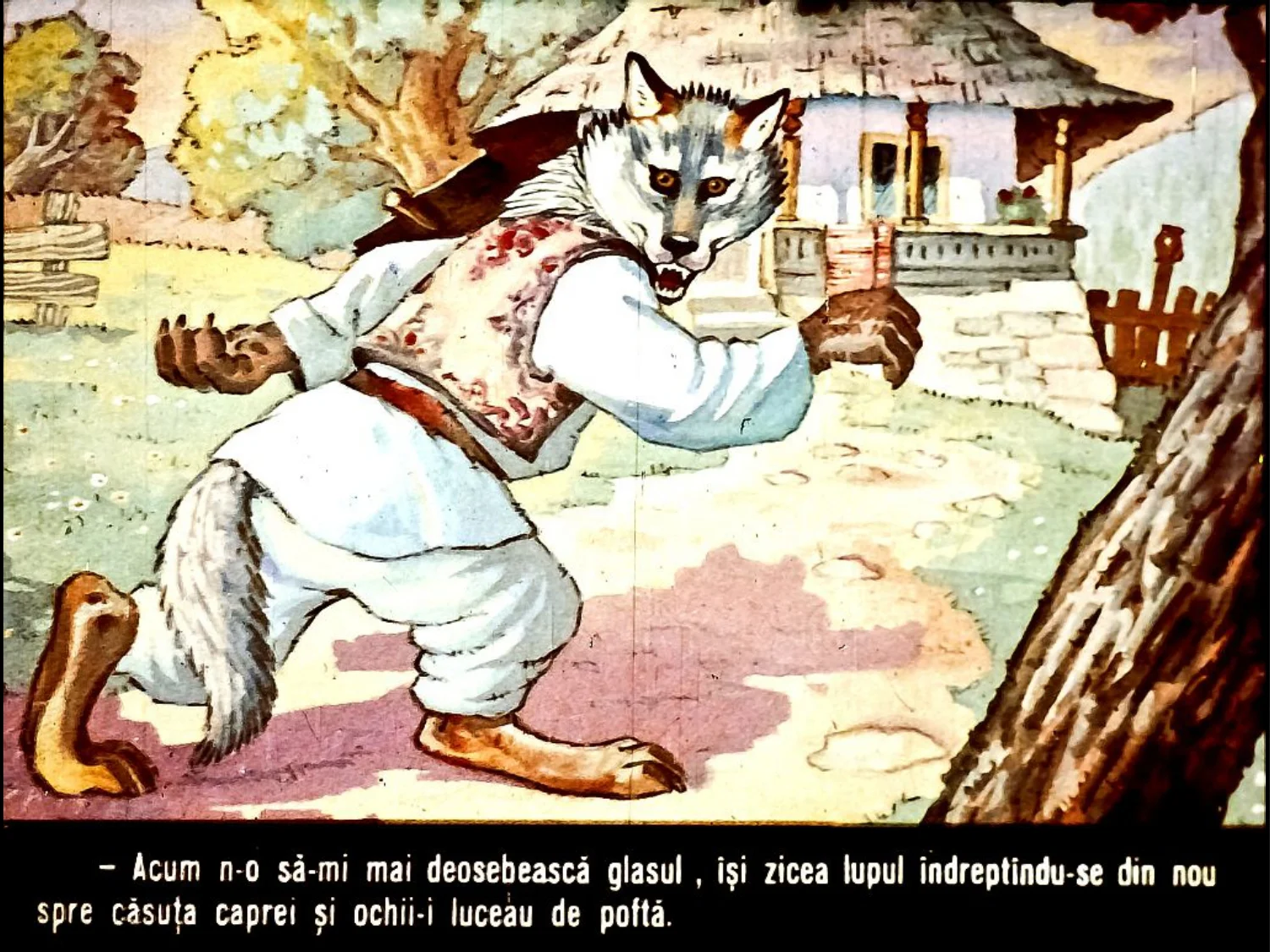 Ilustrație cu un lup îmbrăcat în costum tradițional, îndreptându-se spre o casă, în fundal, descriind gândurile sale despre capra.