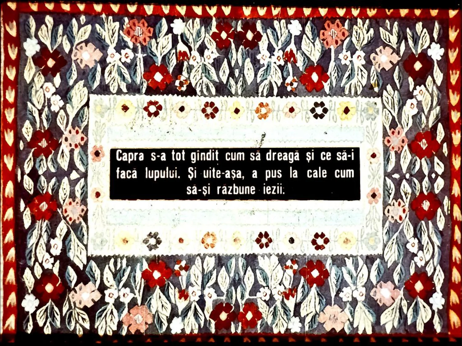 Text decorativ pe un fond floral, care spune o poveste despre o capră care își plănuiește răzbunarea.