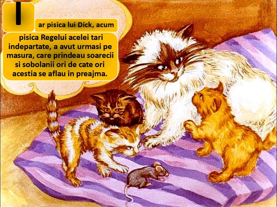 Imagine cu pisici diferite, incluzând o pisică principală cu blană albă și neagră, care interacționează cu alte pisici pe o pătură colorată.