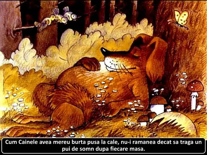Ilustrație cu un câine care doarme în pădure, cu text explicativ despre obiceiurile sale de somn.