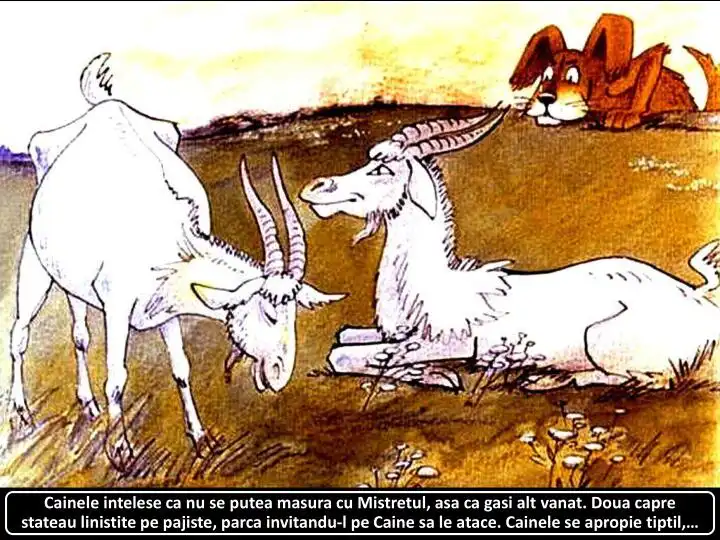 Ilustrație cu două capre și un câine, cu text descriptiv despre interacțiunea animalelor.