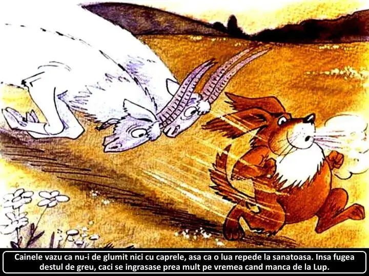 Ilustrație animată cu un câine fugind de un lup, însoțit de capre, cu un text explicativ despre dificultatea câinelui de a fugi.