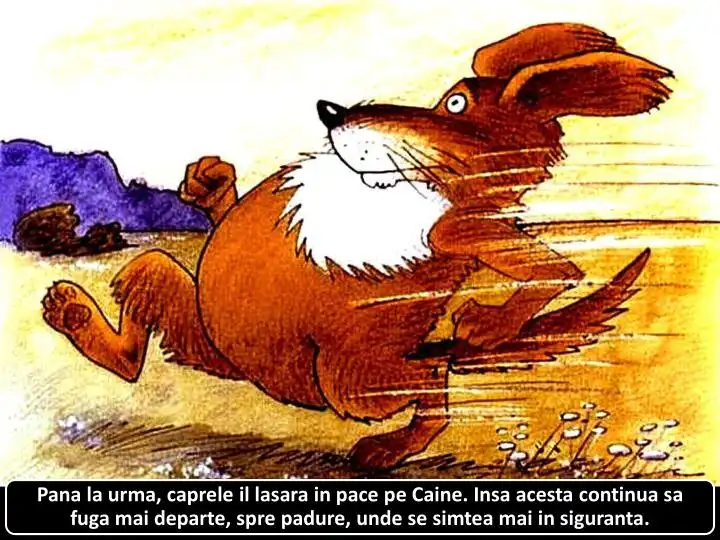 Ilustratie cu un caine care fuge, insotita de text explicativ despre starea sa de siguranta.