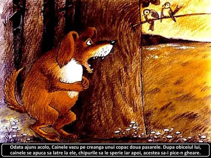 Cainele observa doua pasarele pe o creanga de copac in timpul unei povestiri ilustrate.