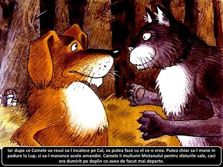 Ilustrație cu un câine și un lup într-o pădure, acompaniată de un text descriptiv.