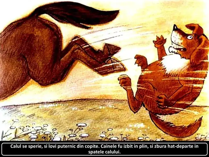 Ilustrație cu un cal și un câine, descriind o situație în care calul se sperie, iar câinele este izbit și zboară.