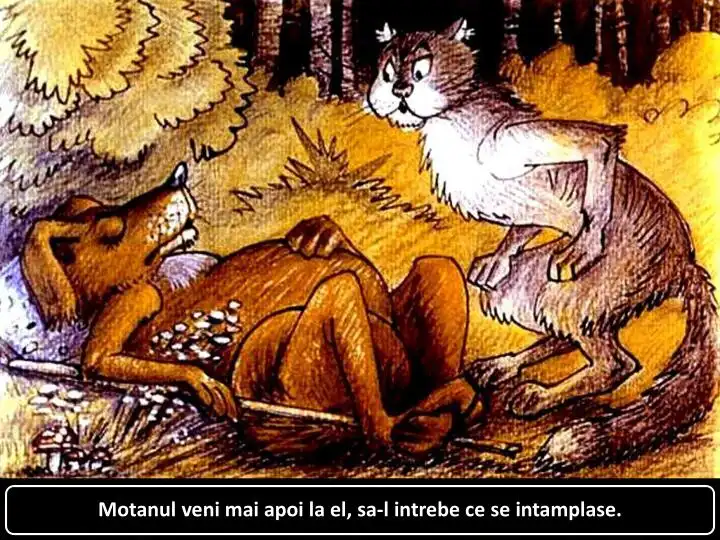 O scenă dintr-o poveste ilustrată, cu un motan care se apropie de un câine întins în pădure.