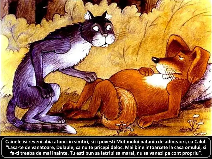 Ilustrație cu un câine și un motan, unde câinele îi oferă motanului sfaturi despre vânătoare.