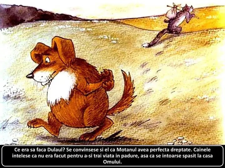 Ilustrație cu un câine pe un câmp, reflectând asupra alegerilor sale, în timp ce un motan apare în fundal.