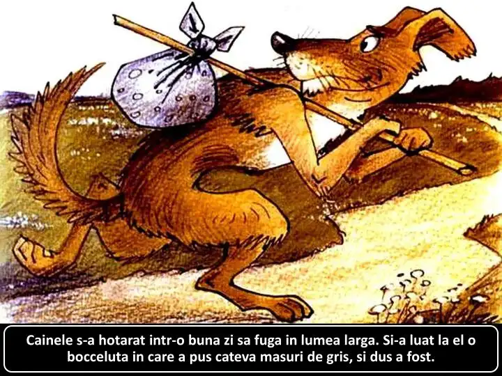 Ilustrație cu un câine care pleacă într-o aventură cu o bentiță și o bocceluță.