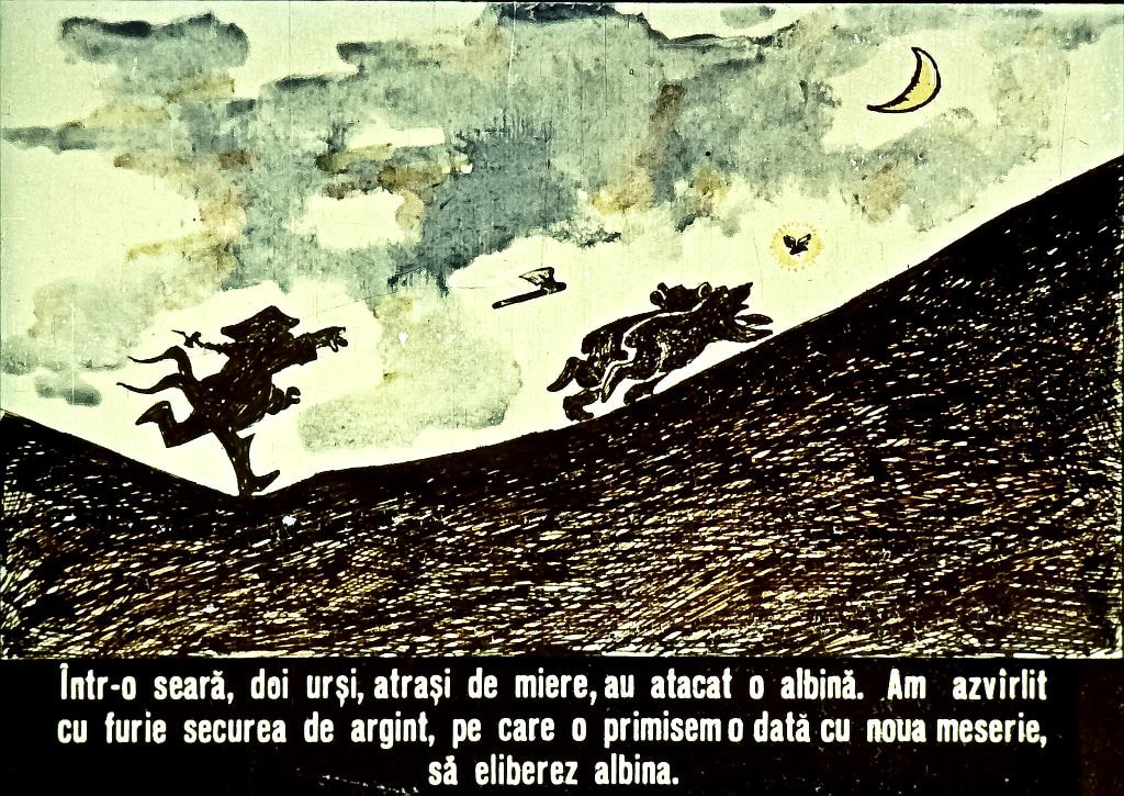 Ilustrație cu urși și o albină, un text explicativ despre o întâmplare legată de furia provocată de atacul urșilor.