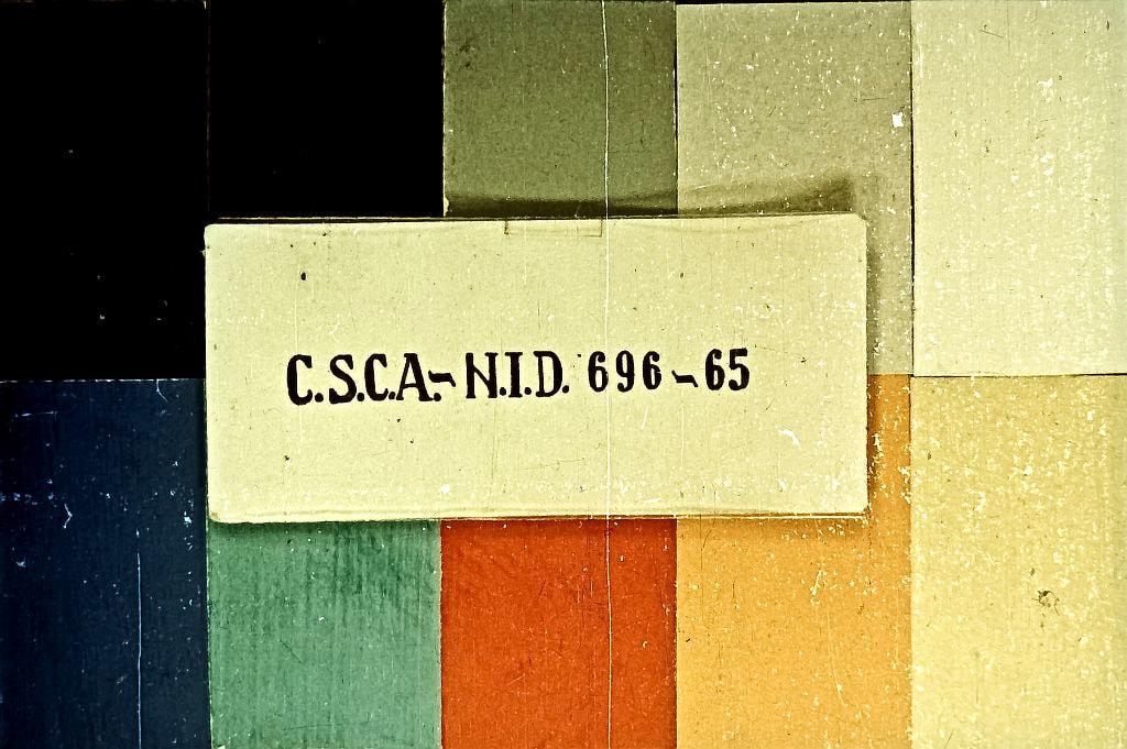 Text pe un fundal colorat, conținând informațiile C.S.C.A-N.I.D. 696-65.