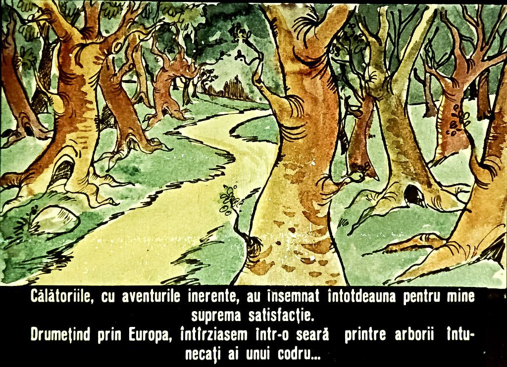 Imagine ilustrează o cărare într-o pădure, cu copaci și vegetație, însoțită de un text despre bucuria călătoriilor.