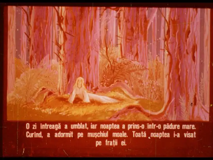 Ilustrație cu o femeie așezată în pădure, cu un peisaj de copaci roșiatic și o atmosferă visătoare.