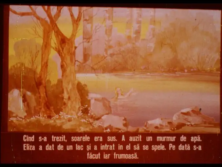 Imagine reprezentând un peisaj natural cu un lac și copaci, cu un text despre o persoană pe nume Eliza.