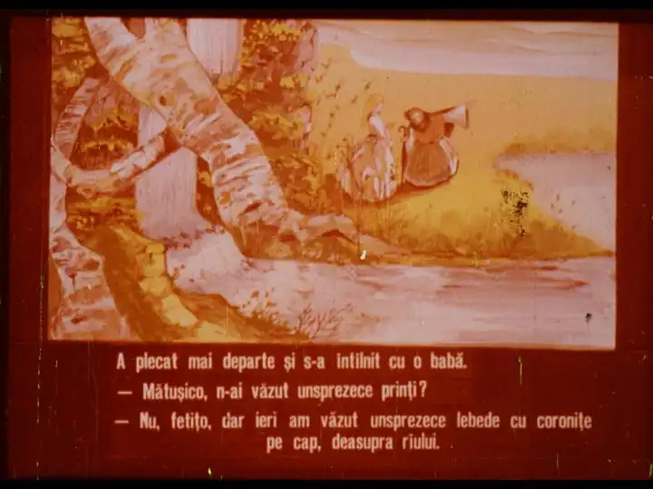 Text dintr-o ilustrație care conține un dialog între două personaje despre întâlniri și observații.