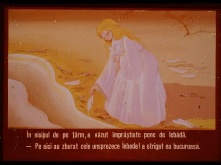 Imaginea prezintă o femeie care se apleacă pe plajă, adunând pene de lebădă într-un peisaj cald și luminos.