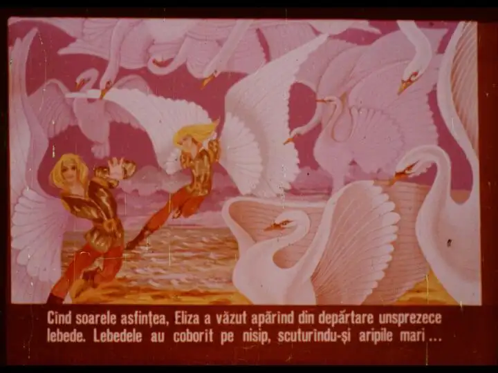 O ilustrație artistică cu lebede pe o apă la apus, alături de o femeie observându-le.