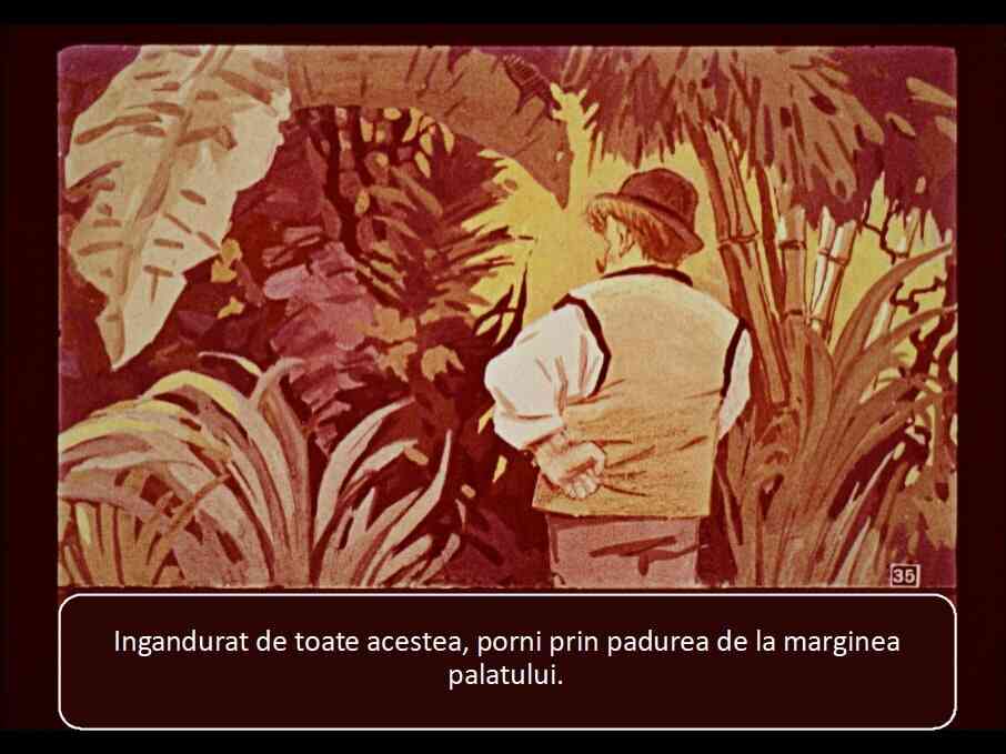 O ilustrație reprezentând o persoană stând în fața unui peisaj de vegetație bogată, cu un fundal de palmieri și plante tropicale.