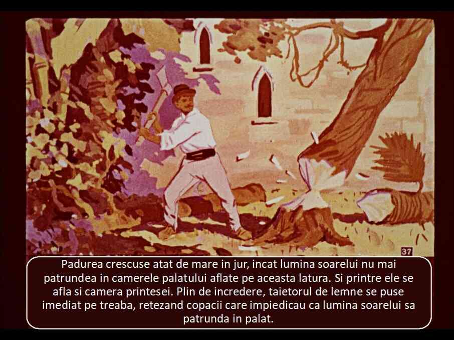 Imagine cu un taietor de lemne in padure, cu descrierea contextului in care lumina soarelui nu ajunge in palat.